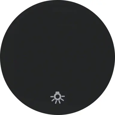 Berker 16202035 schakelwip symbool licht R1/R3 zwart