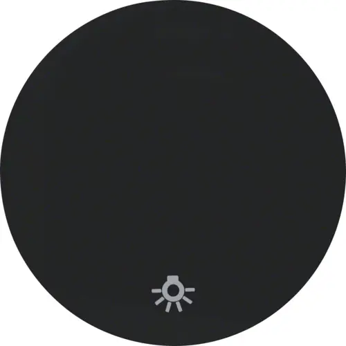 Berker 16202035 schakelwip symbool licht R1/R3 zwart