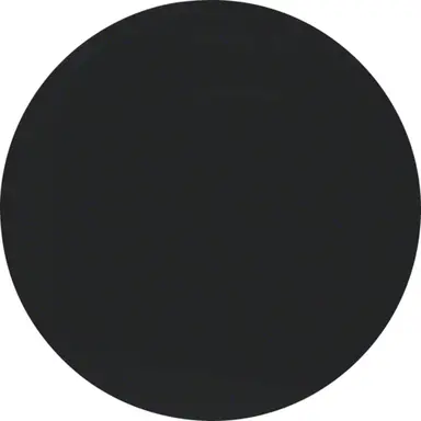 Berker 16202045 schakelwip R1/R3 zwart