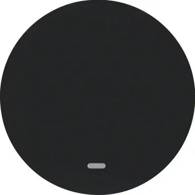 Berker 16212045 schakelwip controlevenster R1/R3 zwart