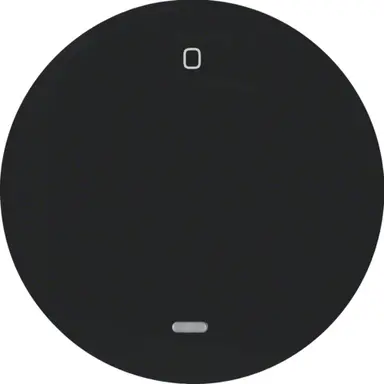 Berker 16242045 schakelwip controlevenster met opdruk 0 R1/R3 zwart