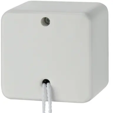 Berker 61390649 opbouw uit/wissel trekschakelaar 10A wit