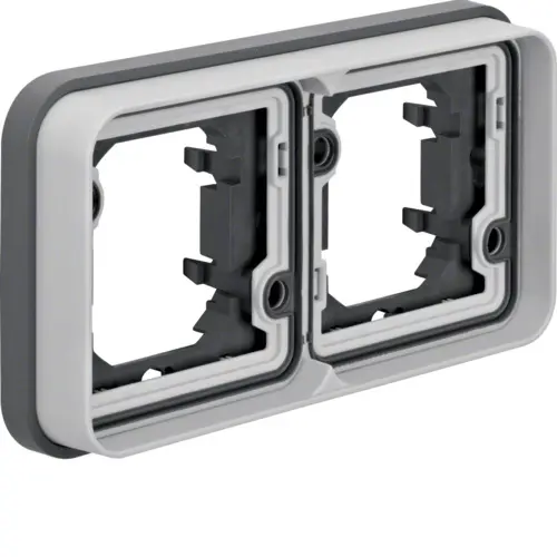 Berker 13293505 W1 afdekraam voor inbouwmontage 2-voudig horizontaal grijs
