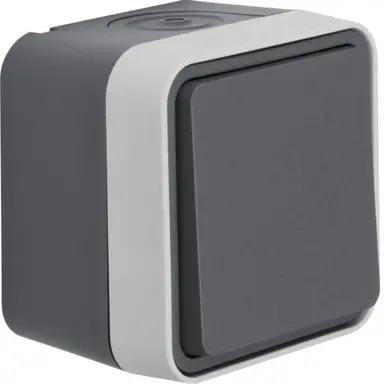 Berker 50453525 W1 wipimpulsdrukker compleet grijs