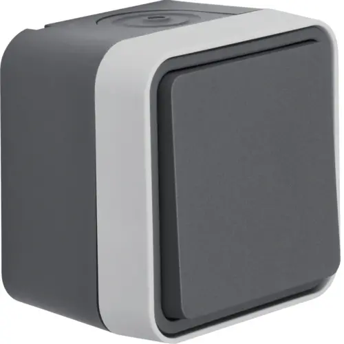 Berker 50453525 W1 wipimpulsdrukker compleet grijs
