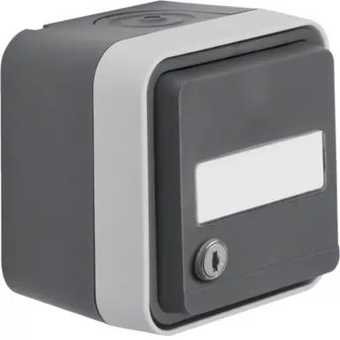 Berker 47893505 W1 wandcontactdoos met randaarde, tekstveld en sleutelsluiting gelijksluitend compleet grijs