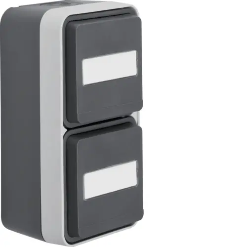 Berker 47703535 W1 wandcontactdoos met randaarde en tekstveld 2-voudig verticaal compleet grijs