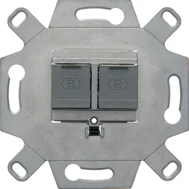 Berker 4584 data wandcontactdoos CAT6A 2-voudig rechte uitgang