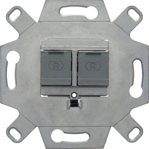 Berker 4584 data wandcontactdoos CAT6A 2-voudig rechte uitgang