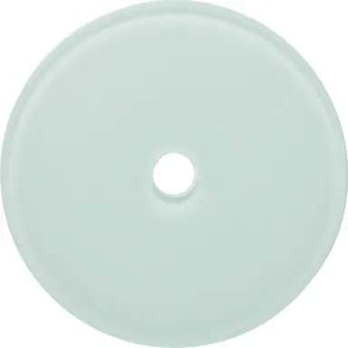 Berker 109009 afdekraam 1-voudig voor draaischakelaar/draai-impulsdrukker glas wit