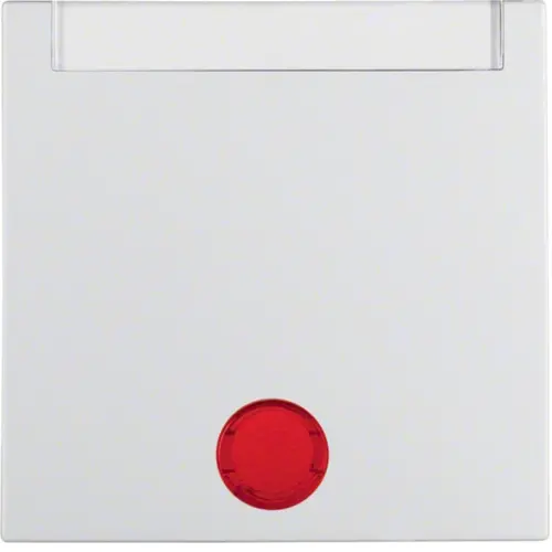 Berker 16281909 schakelwip tekstkader controlevenster S1/B3/B7 wit mat