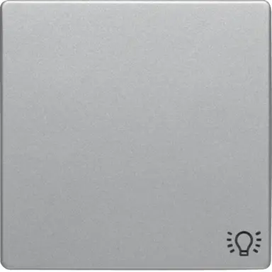Berker 16206044 schakelwip symbool licht Q1/Q3/Q7 aluminium