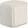 Berker 50453522 W1 wipimpulsdrukker compleet wit