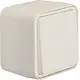 Berker 50453522 W1 wipimpulsdrukker compleet wit