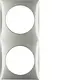 Berker 918262524 Integro Flow afdekraam 2-voudig edelstaal