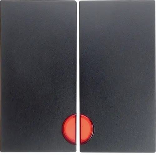 Berker 16271606 schakelwip 2-voudig controlevenster S1/B3/B7 antraciet mat