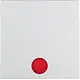 Berker 16291919 schakelwip controlevenster S1 IP44 wit mat