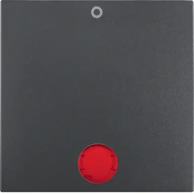 Berker 16291636 schakelwip controlevenster met opdruk 0 S1 IP44 antraciet mat