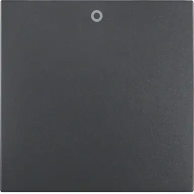 Berker 16291626 schakelwip met opdruk 0 S1 IP44 antraciet mat