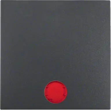 Berker 16291616 schakelwip controlevenster S1 IP44 antraciet mat