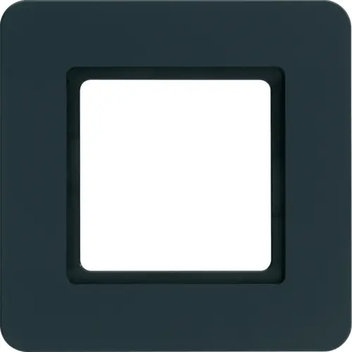 Berker 10116106 afdekraam 1-voudig Q7 verlicht antraciet