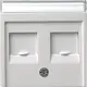 Gira 066303 centraalplaat modular jack 2-voudig Systeem 55 wit glans