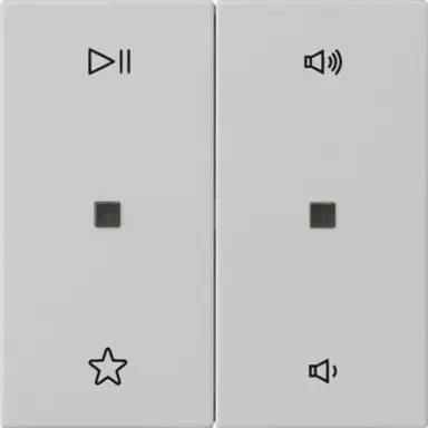 Gira 5384015 wip 2-voudig audiobesturing System 55 grijs mat