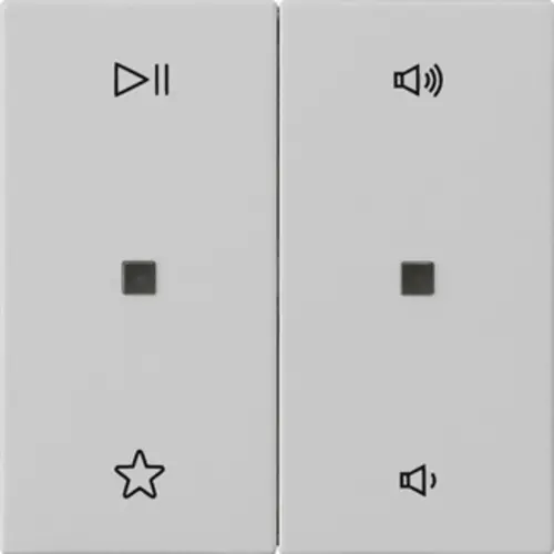 Gira 5384015 wip 2-voudig audiobesturing System 55 grijs mat
