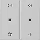 Gira 5384015 wip 2-voudig audiobesturing System 55 grijs mat