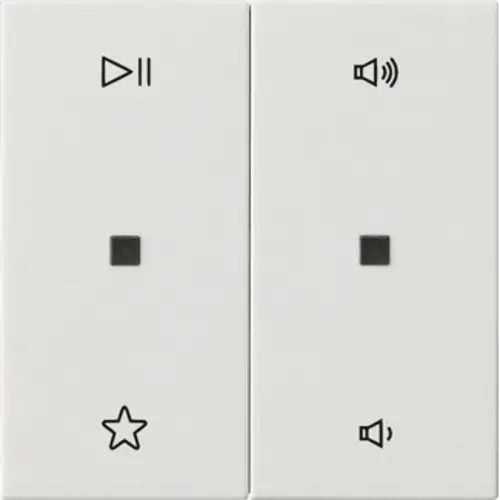 Gira 538403 wip 2-voudig audiobesturing System 55 wit glans