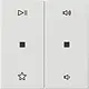 Gira 538403 wip 2-voudig audiobesturing System 55 wit glans