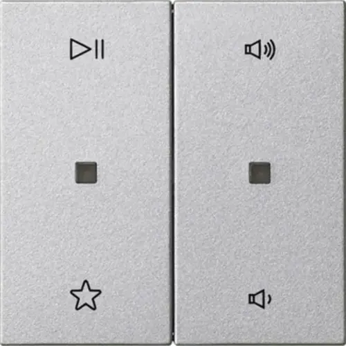 Gira 538426 wip 2-voudig audiobesturing System 55 aluminium mat
