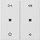 Gira 538427 wip 2-voudig audiobesturing System 55 wit mat