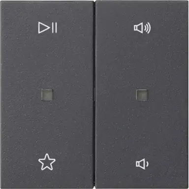 Gira 538428 wip 2-voudig audiobesturing System 55 antraciet mat