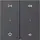 Gira 538428 wip 2-voudig audiobesturing System 55 antraciet mat