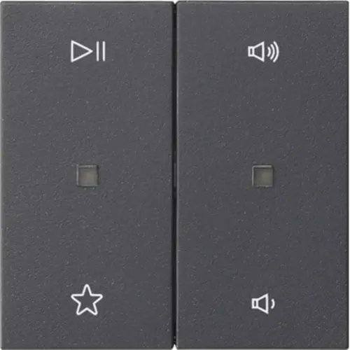 Gira 538428 wip 2-voudig audiobesturing System 55 antraciet mat