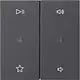 Gira 538428 wip 2-voudig audiobesturing System 55 antraciet mat