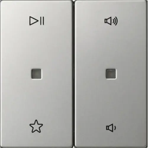 Gira 5384600 wip 2-voudig audiobesturing System 55 edelstaal
