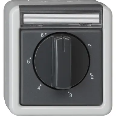 Gira 032730 tijdschakelaar 2-polig 360 minuten tekstkader opbouw IP44