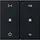 Gira 5384005 wip 2-voudig audiobesturing System 55 zwart mat