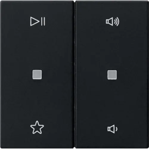 Gira 5384005 wip 2-voudig audiobesturing System 55 zwart mat