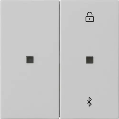 Gira 5381015 Bluetooth bedieningselement Systeem 3000 Systeem 55 grijs mat