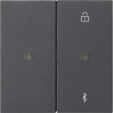 Gira 538128 Bluetooth bedieningselement Systeem 3000 Systeem 55 antraciet mat