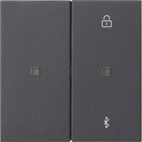 Gira 538128 Bluetooth bedieningselement Systeem 3000 Systeem 55 antraciet mat