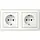 Gira 492503 wandcontactdoos 2-voudig randaarde compleet wandgoot Type 5 Standaard 55 wit glans
