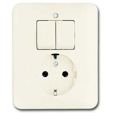 Busch-Jaeger 4310/5 EUJ-212-503 combinatie serieschakelaar/wandcontactdoos randaarde SI