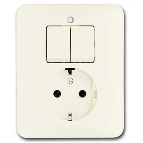 Busch-Jaeger 4310/5 EUJ-212-503 combinatie serieschakelaar/wandcontactdoos randaarde SI