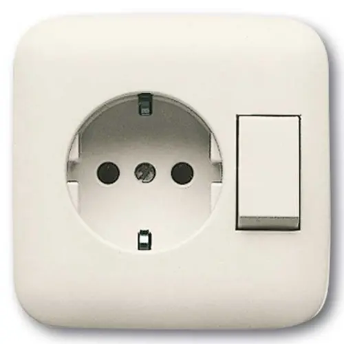 Busch-Jaeger 4310/6 EUJ-212-500 combinatie schakelaar/wandcontactdoos randaarde Standaard SI