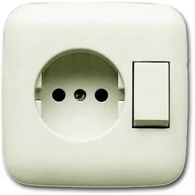 Busch-Jaeger 4310/6 UJ-212-500 combinatie wandcontactdoos/schakelaar zonder randaarde Standaard SI