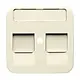 Busch-Jaeger 1800-212 centraalplaat modular jack 2-voudig Standaard SI